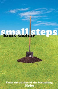 SMALL STEPS