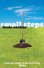 SMALL STEPS