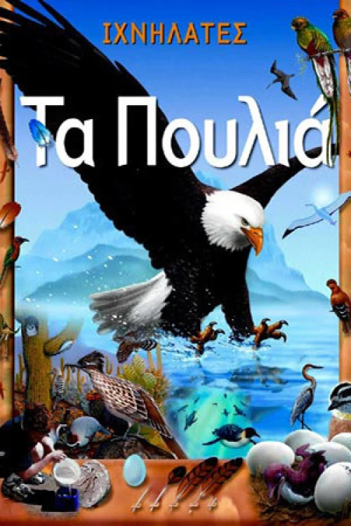 Τα πουλιά