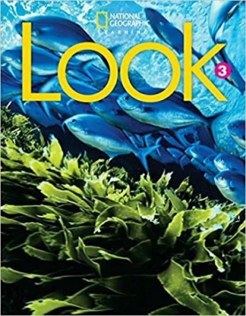 LOOK 3 WORKBOOK - BRE