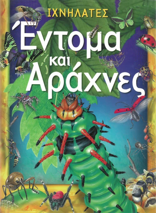 Έντομα και αράχνες