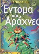 Έντομα και αράχνες
