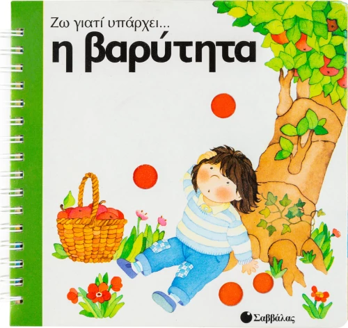 Η βαρύτητα