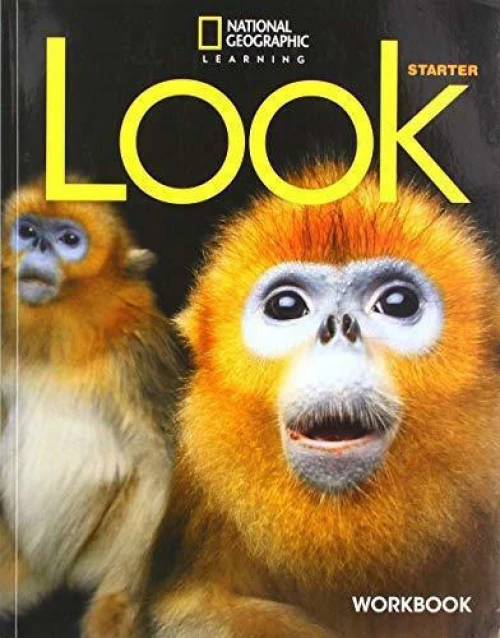 LOOK STARTER WORKBOOK - BRE