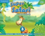 SUPER SAFARI 3 workbook