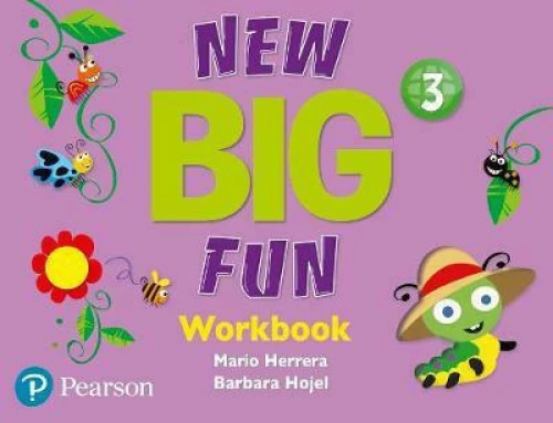 Big Fun 3 Workbook