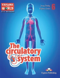 EOW 6: THE CIRCULATORY SYSTEM (+ Cross-platform Application)