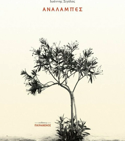 Αναλαμπές
