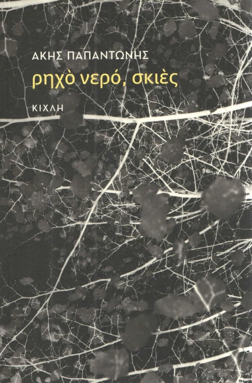 Ρηχό νερό, σκιές