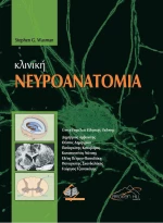 ΚΛΙΝΙΚΗ ΝΕΥΡΟΑΝΑΤΟΜΙΑ