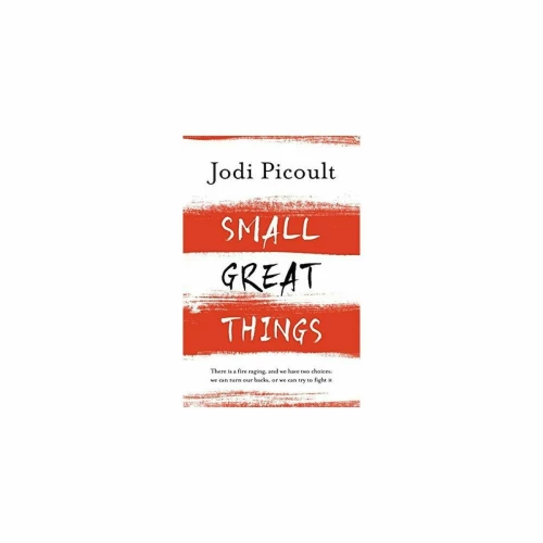 SMALL GREAT THINGS Paperback
