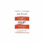 SMALL GREAT THINGS Paperback