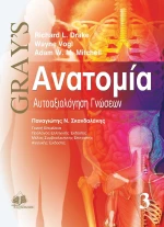 Gray’s ανατομία Γ