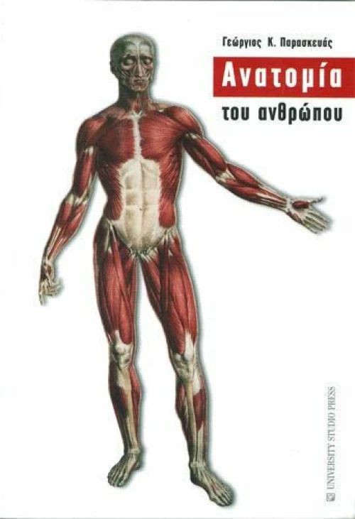 Ανατομία του ανθρώπου
