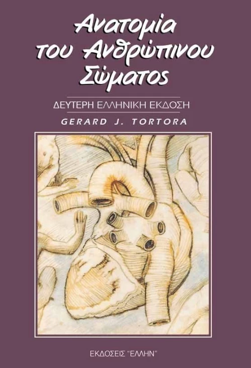 Ανατομία του Ανθρώπινου Σώματος ΕΠΙΤΟΜΟ