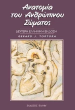 Ανατομία του Ανθρώπινου Σώματος ΕΠΙΤΟΜΟ