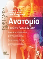 Ανατομία: Ετυμολογία ανατομικών όρων