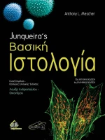 ΒΑΣΙΚΗ ΙΣΤΟΛΟΓΙΑ