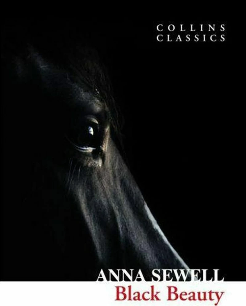 BLACK BEAUTY