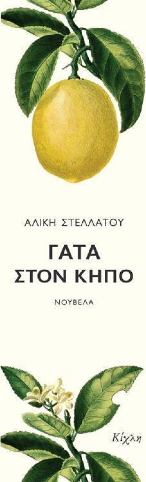 Γάτα στον κήπο