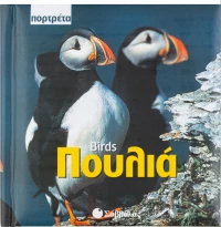 Πουλιά