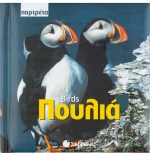 Πουλιά