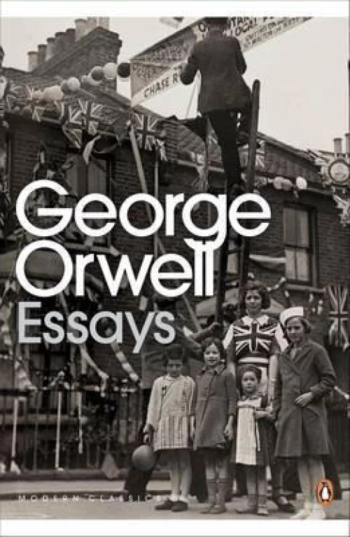 ESSAYS
