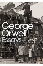 ESSAYS