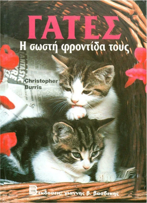 Γάτες, Η Σωστή Φροντίδα τους