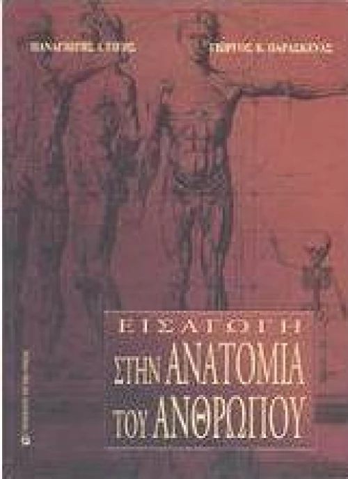 Εισαγωγή στην ανατομία του ανθρώπου
