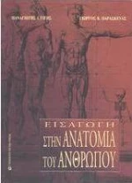 Εισαγωγή στην ανατομία του ανθρώπου