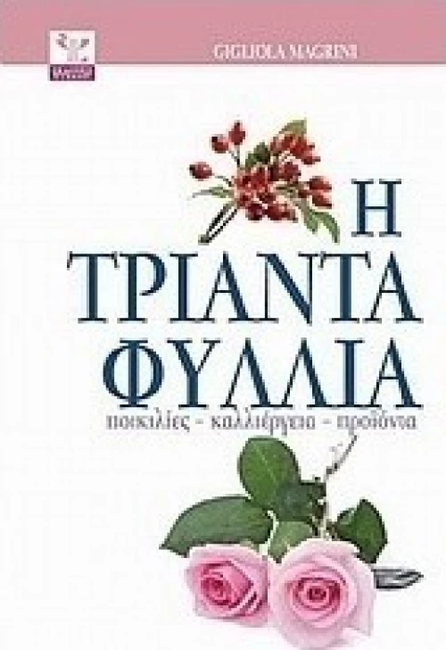 Η τριανταφυλλιά