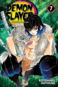 Viz Media Demon Slayer Vol. 7