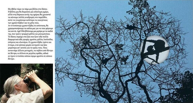 Οι νεαροί χιμπαντζήδες του Γκόμπε