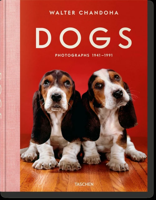 Dogs - Photographs 1941-1991