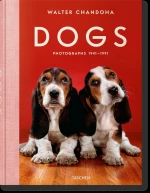 Dogs - Photographs 1941-1991