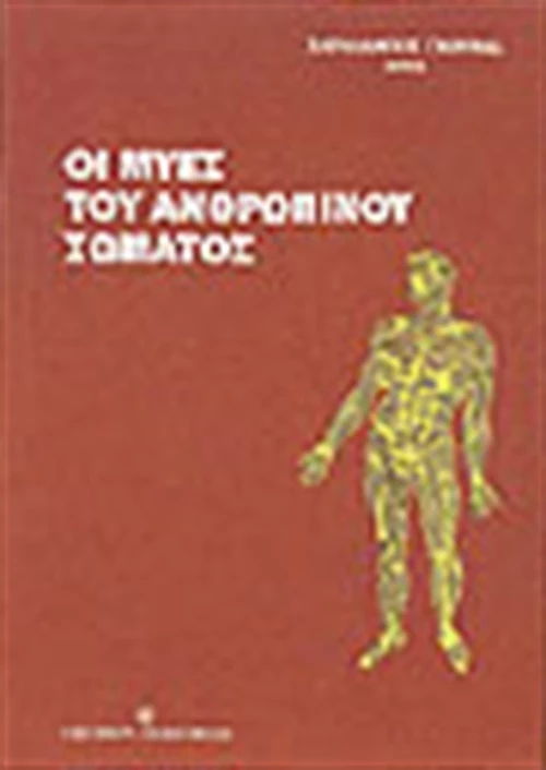 Οι μύες του ανθρώπινου σώματος