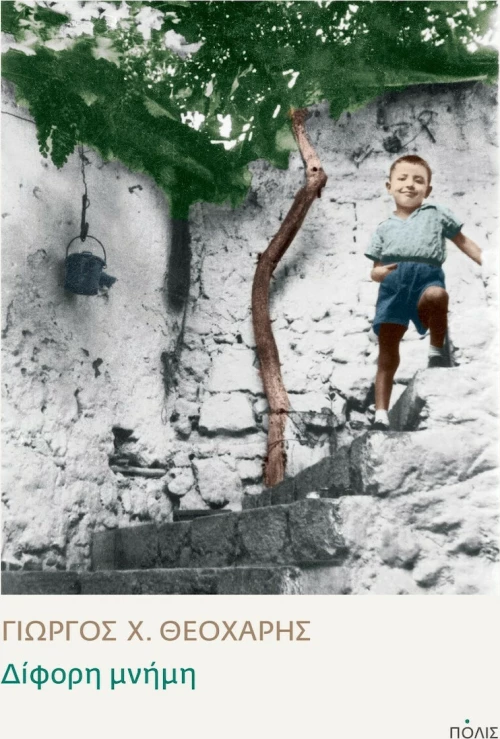 Δίφορη μνήμη