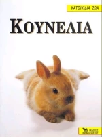 Κουνέλια