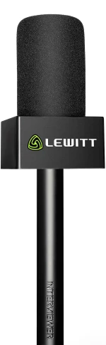Lewitt Interviewer
