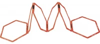 Hexagonal Speed Training Ladder