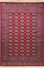 Χαλι Sonia 248/301220 - 200x300 Newplan - -