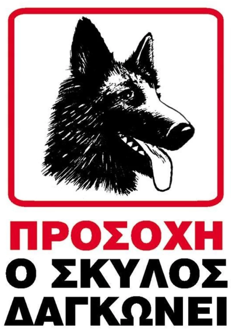 251072 Next Επιγραφή Pp `ο Σκύλοσ Δαγκώνει` 15x20εκ. (σετ 6 Τεμαχιων)