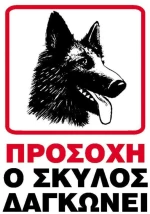 251072 Next Επιγραφή Pp `ο Σκύλοσ Δαγκώνει` 15x20εκ. (σετ 6 Τεμαχιων)