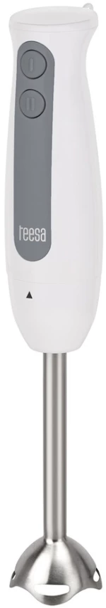 293342 Ραβδομπλέντερ Teesa 400w