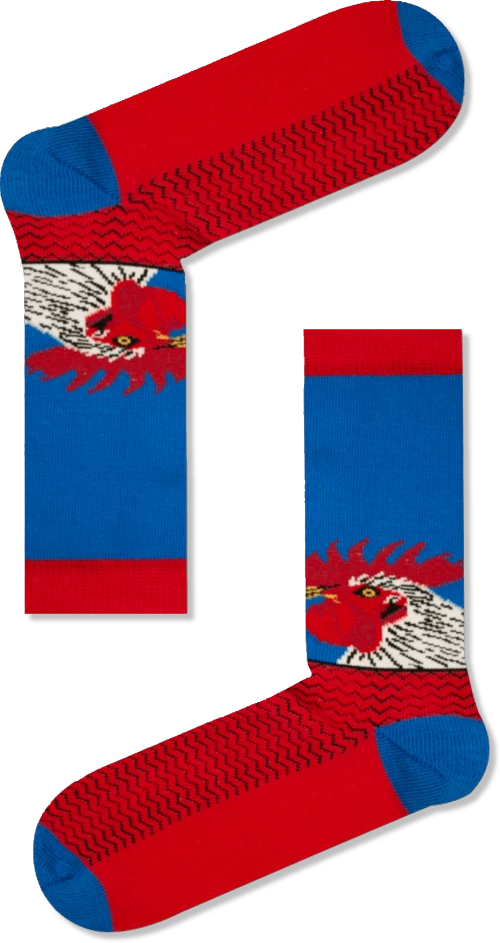 Vtex Socks Unisex Κάλτσες Mr. Rooster