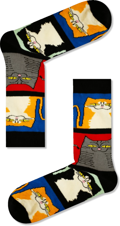 Vtex Socks Γυναικείες Κάλτσες Filmed Cats