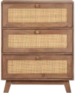 vidaXL Ντουλάπι 61 x 35 x 76 εκ. από Μασίφ Ξύλο Μάνγκο  Καφέ