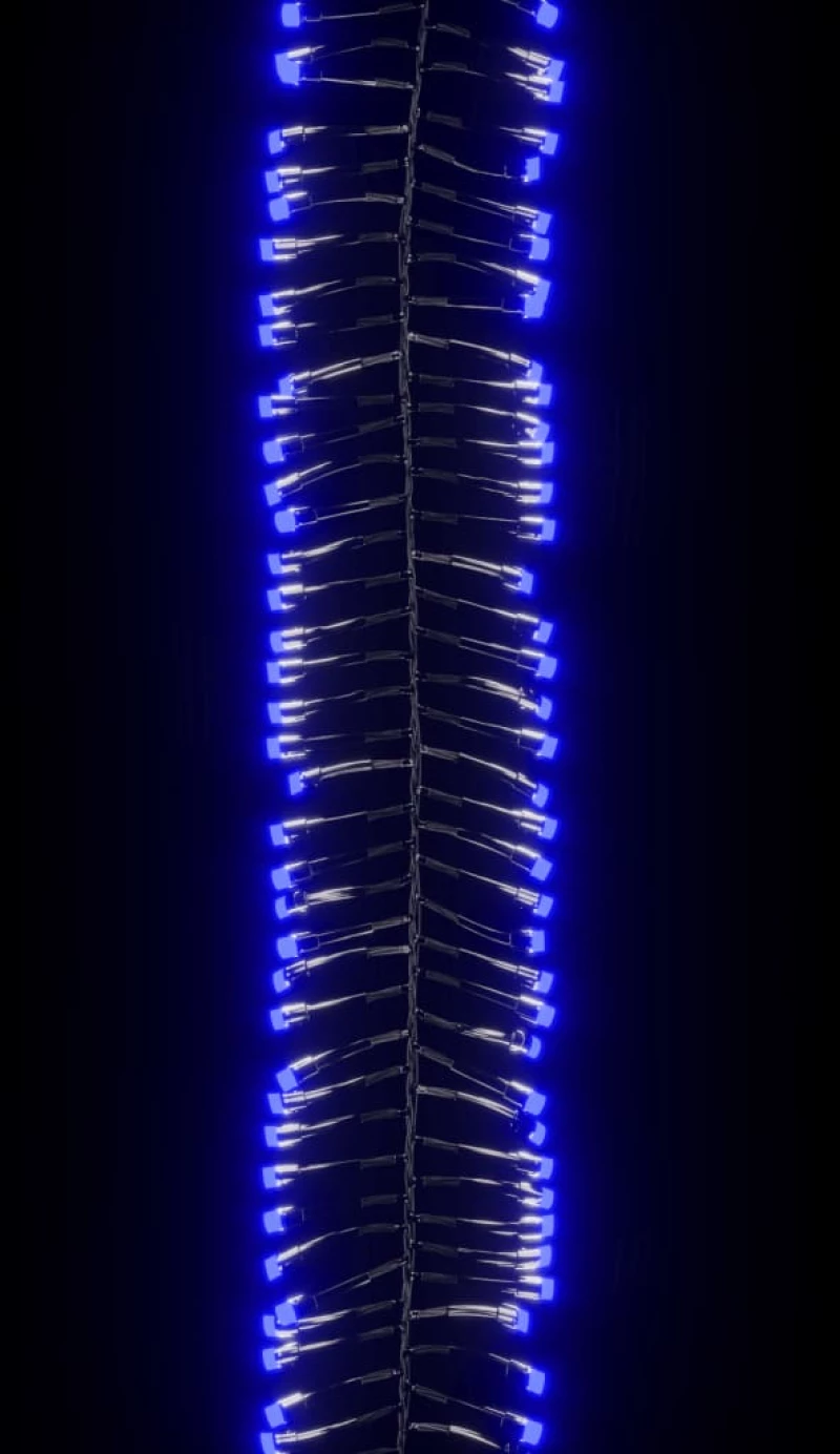 vidaXL Φωτάκια Cluster με 3000 LED Μπλε 23 μ. από PVC 23 m