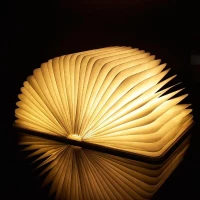 Επαναφορτιζόμενη λάμπα ανοιχτό βιβλίο LED USB